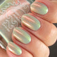 Summer. Autumn. Winter. And...Disco: Let It Grow Collection